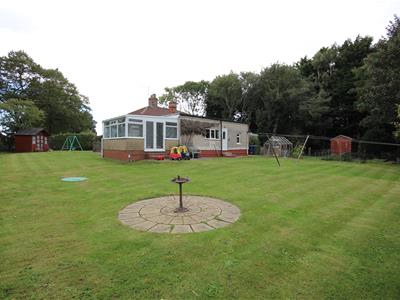 Picture 24